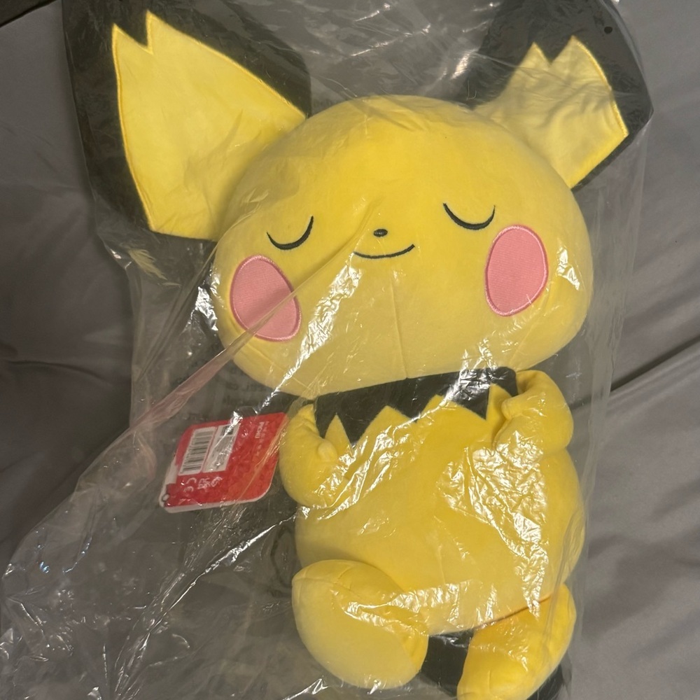Sleeping Pichu